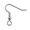 French Hook Ear Wire with Large Loop 21x20mm Surgical Stainless Steel Fish Hooks (Package of 10)
